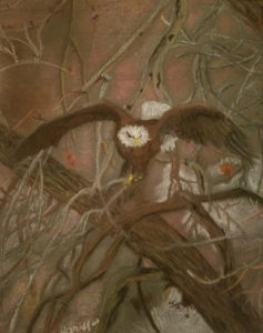 pastel drawing of eagle