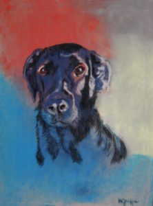 pastel drawing of a dog