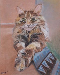 pastel drawing of cat